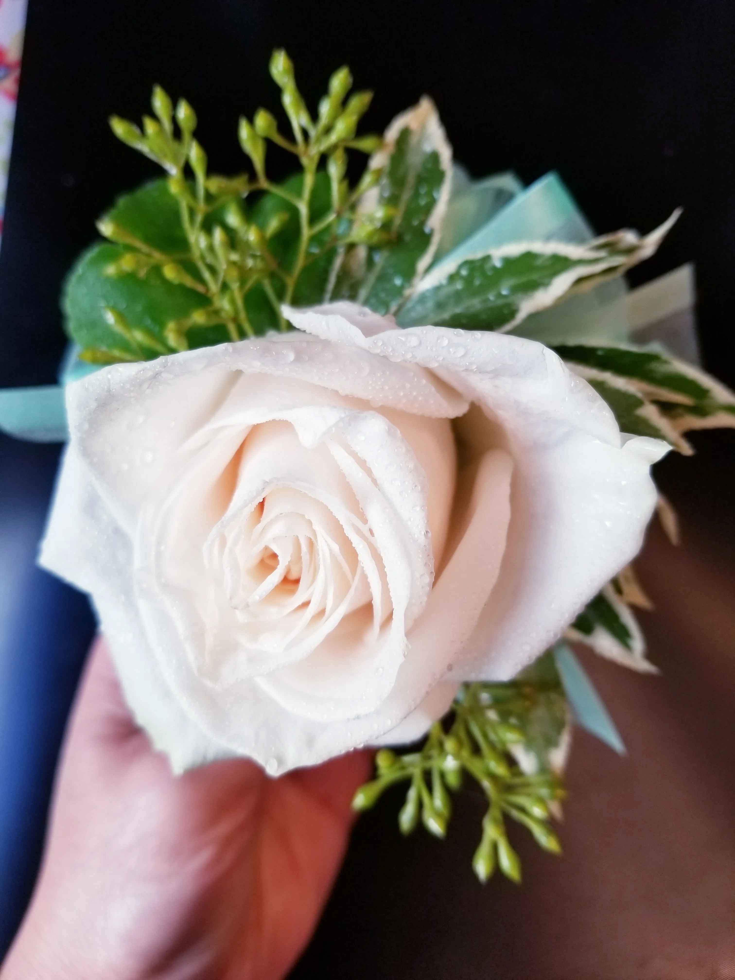 White Rose Corsage & Boutonniere With Teal Ribbon